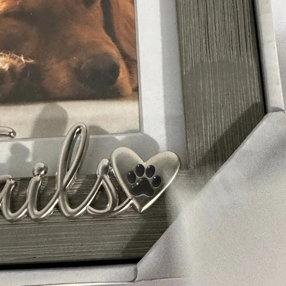 Malden Congratulations Friends Pet Picture Frame Silver Paw Print 5X7 or 4x6